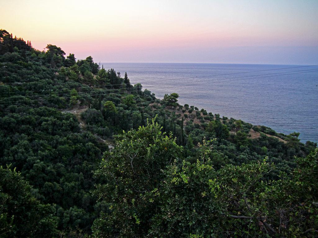 Villa Contessa Василикос Номер фото